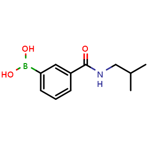 Chemical structure of (3-(isobutylcarbamoyl)phenyl)boronic acid , CAS 723282-09-5, AChemBlock Q66537