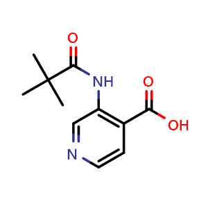 Chemical structure of 3-pivalamidoisonicotinic acid , CAS 86847-91-8, AChemBlock Q67525