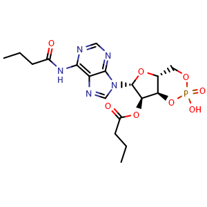 Chemical structure of Bucladesine , CAS 362-74-3, AChemBlock R16043