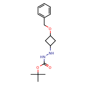 Chemical structure of tert-butyl 2-(3-(benzyloxy)cyclobutyl)hydrazine-1-carboxylate , CAS 2155769-77-8, AChemBlock S70281