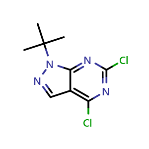 Chemical structure of 1-tert-butyl-4,6-dichloro-1H-pyrazolo[3,4-d]pyrimidine , CAS 864292-49-9, AChemBlock S73692