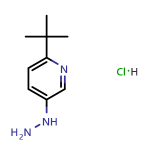 Chemical structure of (6-tert-butyl-3-pyridyl)hydrazine hydrochloride , CAS 848841-56-5, AChemBlock S73833