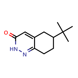 Chemical structure of 6-tert-butyl-2,3,5,6,7,8-hexahydrocinnolin-3-one , CAS 57689-75-5, AChemBlock S74970