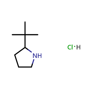 Chemical structure of 2-tert-butylpyrrolidine hydrochloride , CAS 558478-78-7, AChemBlock S75062
