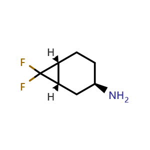 (1S,3R,6R)-rel-7,7-difluoronorcaran-3-amine