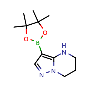 Chemical structure of 3-(4,4,5,5-tetramethyl-1,3,2-dioxaborolan-2-yl)-4,5,6,7-tetrahydropyrazolo[1,5-a]pyrimidine , CAS 2057507-72-7, AChemBlock S77301