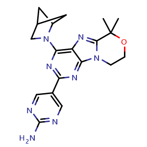 Chemical structure of 5-[4-(2-azabicyclo[2.1.1]hexan-2-yl)-6,6-dimethyl-8,9-dihydropurino[8,9-c][1,4]oxazin-2-yl]pyrimidin-2-amine , CAS 2005429-69-4, AChemBlock S77398