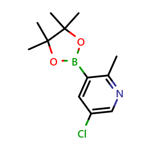 Chemical structure of 5-chloro-2-methyl-3-(tetramethyl-1,3,2-dioxaborolan-2-yl)pyridine , CAS 1621225-24-8, AChemBlock S79062