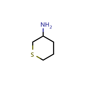 Chemical structure of thian-3-amine , CAS 117593-38-1, AChemBlock S82837