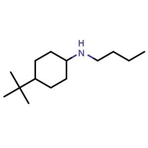 Chemical structure of N-butyl-4-tert-butylcyclohexan-1-amine , CAS 1040311-80-5, AChemBlock S83783