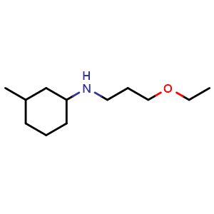 N-(3-ethoxypropyl)-3-methylcyclohexan-1-amine