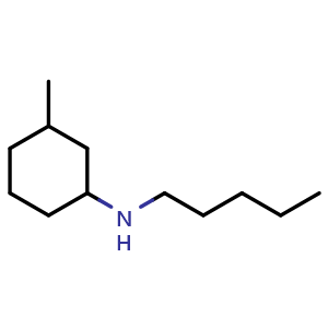 Chemical structure of 3-methyl-N-pentylcyclohexan-1-amine , CAS 1019511-48-8, AChemBlock S84012