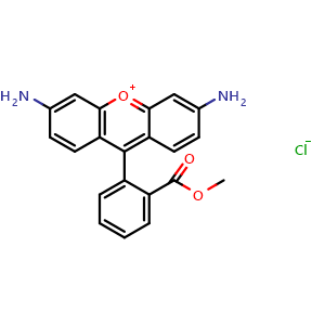 rhodamine 123