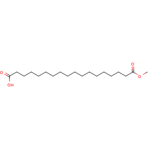 18-methoxy-18-oxooctadecanoic acid
