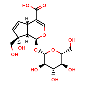 Monotropein
