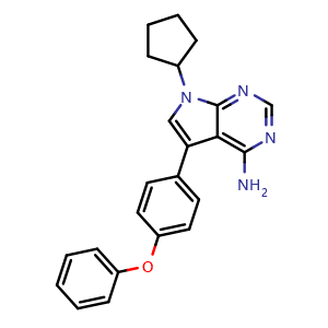 RK 24466