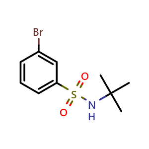 Chemical structure of N-tert-Butyl 3-bromobenzenesulfonamide , CAS 308283-47-8, AChemBlock T100308