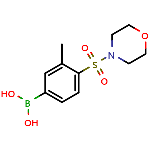 Chemical structure of (3-methyl-4-(morpholinosulfonyl)phenyl)boronic acid , CAS 2377606-57-8, AChemBlock T101701