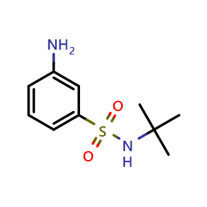 3-Amino-N-(tert-butyl)benzenesulfonamide