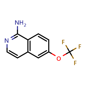 Chemical structure of 6-(trifluoromethoxy)isoquinolin-1-amine , CAS 1779868-41-5, AChemBlock T93254