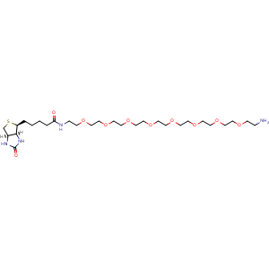 Biotin-PEG8-CH2CH2NH2