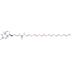 Biotin-PEG5-CH2CH2NH2