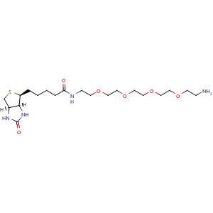 Biotin-PEG4-CH2CH2NH2