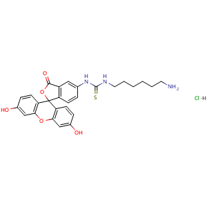 1-(6-Aminohexyl)-3-(fluorescein-5-yl)thiourea hydrochloride