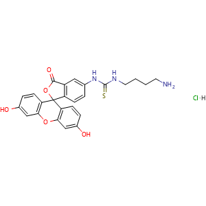 Chemical structure of 1-(4-Aminobutyl)-3-(fluorescein-5-yl)thiourea hydrochloride , CAS 496967-31-8, AChemBlock T95729