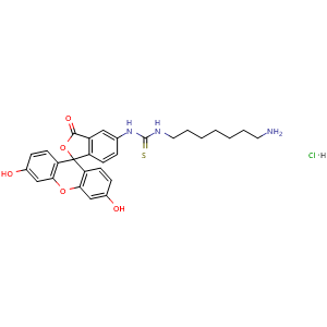 Chemical structure of 1-(7-Aminoheptyl)-3-(fluorescein-5-yl)thiourea hydrochloride , CAS 2103914-32-3, AChemBlock T95732