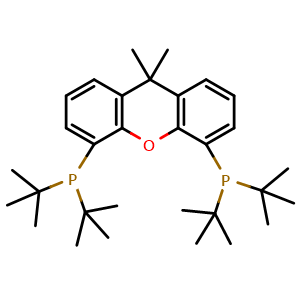 Chemical structure of (9,9-Dimethyl-9H-xanthene-4,5-diyl)bis(di-tert-butylphosphine) , CAS 856405-77-1, AChemBlock T96593