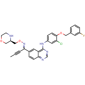 Chemical structure of (R,Z)-1-(4-(3-chloro-4-(3-fluorobenzyloxy)phenylamino)quinazolin-6-yl)but-2-yn-1-one O-morpholin-3-ylmethyl oxime , CAS 908305-13-5, AChemBlock T97863