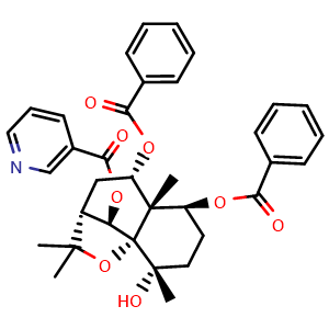 Chemical structure of Regelidine , CAS 114542-54-0, AChemBlock U106215