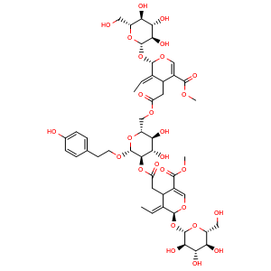 Oleonuezhenide