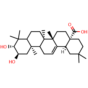 Maslinic acid