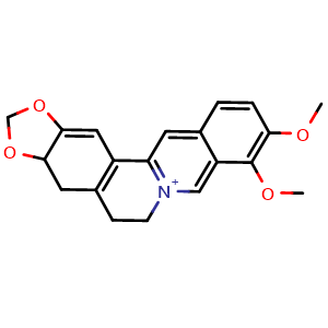 Dihydroberberine