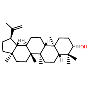 Chemical structure of Lupeol , CAS 545-47-1, AChemBlock U106799