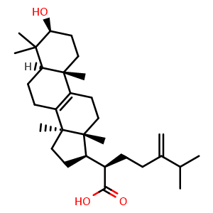 Chemical structure of Eburicoic acid , CAS 560-66-7, AChemBlock U107094
