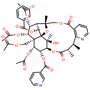 Chemical structure of Hyponine D , CAS 259823-31-9, AChemBlock U107121