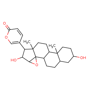 Chemical structure of Desacetylcinobufagin , CAS 4026-95-3, AChemBlock U107340
