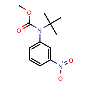 Chemical structure of tert-Butyl methyl 3-nitrophenylcarbamate , CAS 528882-15-7, AChemBlock U107548
