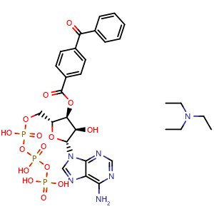 Chemical structure of triethylamine ((2R,3S,4R,5R)-5-(6-amino-9H-purin-9-yl)-3-((4-benzoylbenzoyl)oxy)-4-hydroxytetrahydrofuran-2-yl)methyl triphosphate , CAS 112898-15-4, AChemBlock U109069