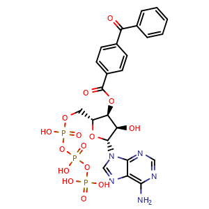 Chemical structure of 3'-O-(4-benzoyl)benzoyladenosine 5'-triphosphate , CAS 81790-82-1, AChemBlock U109070