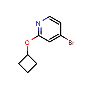 Chemical structure of 4-Bromo-2-cyclobutoxypyridine , CAS 1142194-51-1, AChemBlock U109889