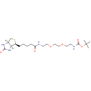 Chemical structure of tert-Butyl (2-(2-(2-(5-((3aS,4S,6aR)-2-oxohexahydro-1H-thieno[3,4-d]imidazol-4-yl)pentanamido)ethoxy)ethoxy)ethyl)carbamate , CAS 175885-18-4, AChemBlock U127760
