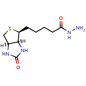 Chemical structure of 5-((3aS,4S,6aR)-2-oxohexahydro-1H-thieno[3,4-d]imidazol-4-yl)pentanehydrazide , CAS 66640-86-6, AChemBlock U131610