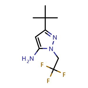 Chemical structure of 5-tert-butyl-2-(2,2,2-trifluoroethyl)pyrazol-3-amine , CAS 1048389-82-7, AChemBlock U132514