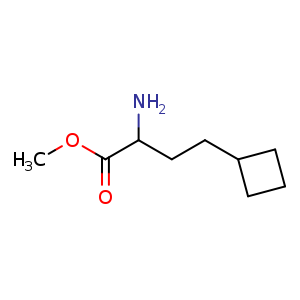 Chemical structure of methyl 2-amino-4-cyclobutyl-butanoate , CAS 1888507-47-8, AChemBlock U133383