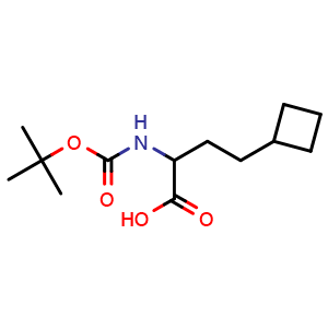 Chemical structure of 2-(tert-butoxycarbonylamino)-4-cyclobutyl-butanoic acid , CAS 1888661-71-9, AChemBlock U133384