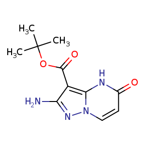 tert-butyl 2-amino-5-oxo-4H-pyrazolo[1,5-a]pyrimidine-3-carboxylate